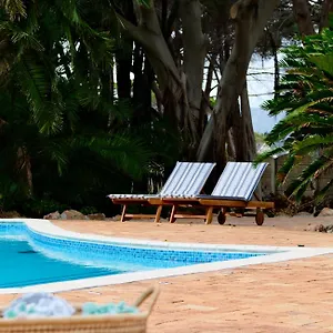  Bed & Breakfast Somer House Guest South Africa