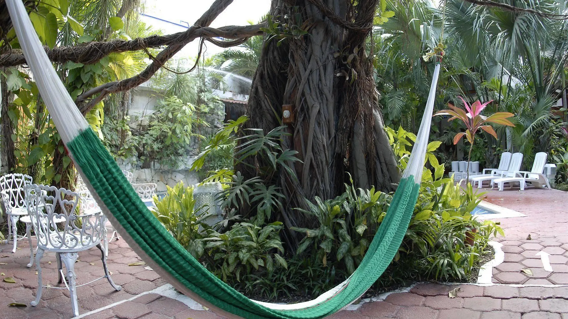 *** Hotel Eco-hotel El Rey del Caribe Cancún México