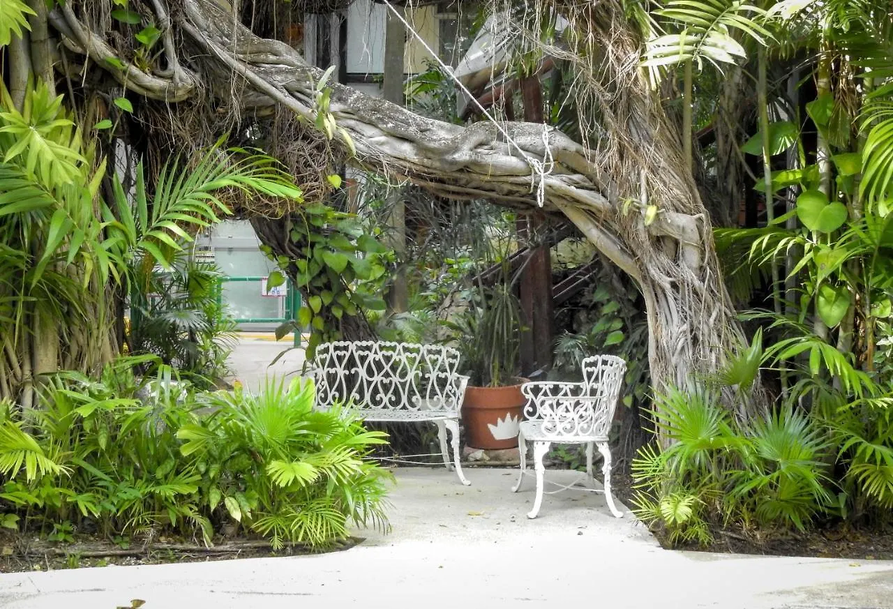 Eco-Hotel El Rey Del Caribe Cancún Meksyk
