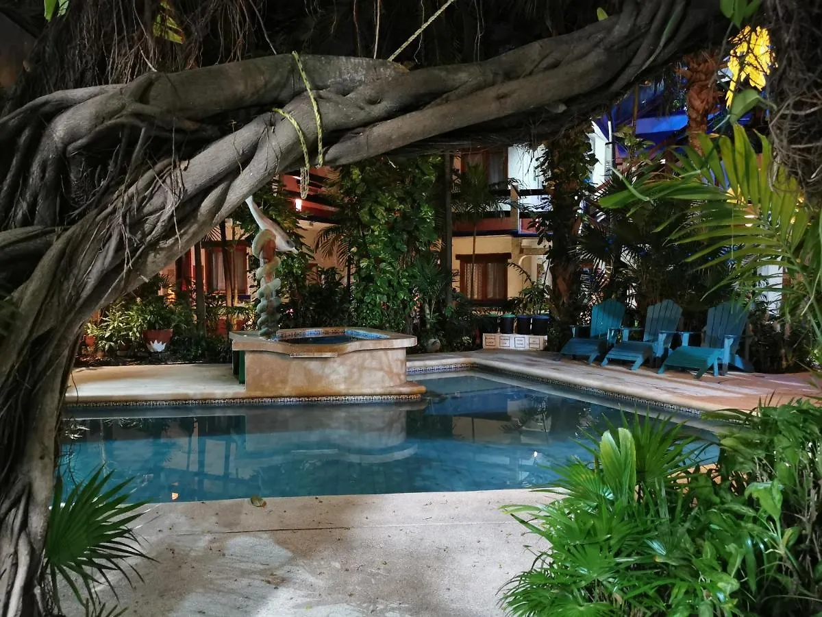Eco-Hotel El Rey Del Caribe Cancún 3*,  Meksyk